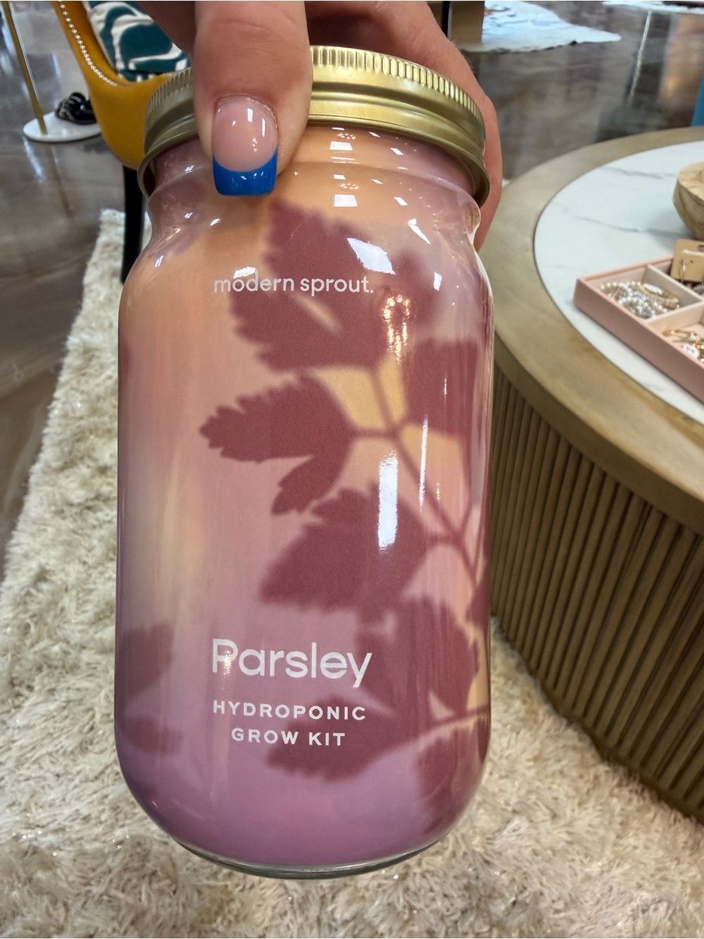 Parsley Hydroponic Grow Kit in Pink Gradient